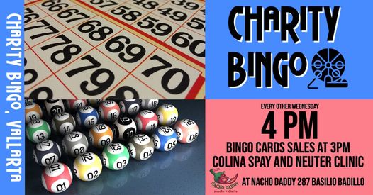 Charity Bingo