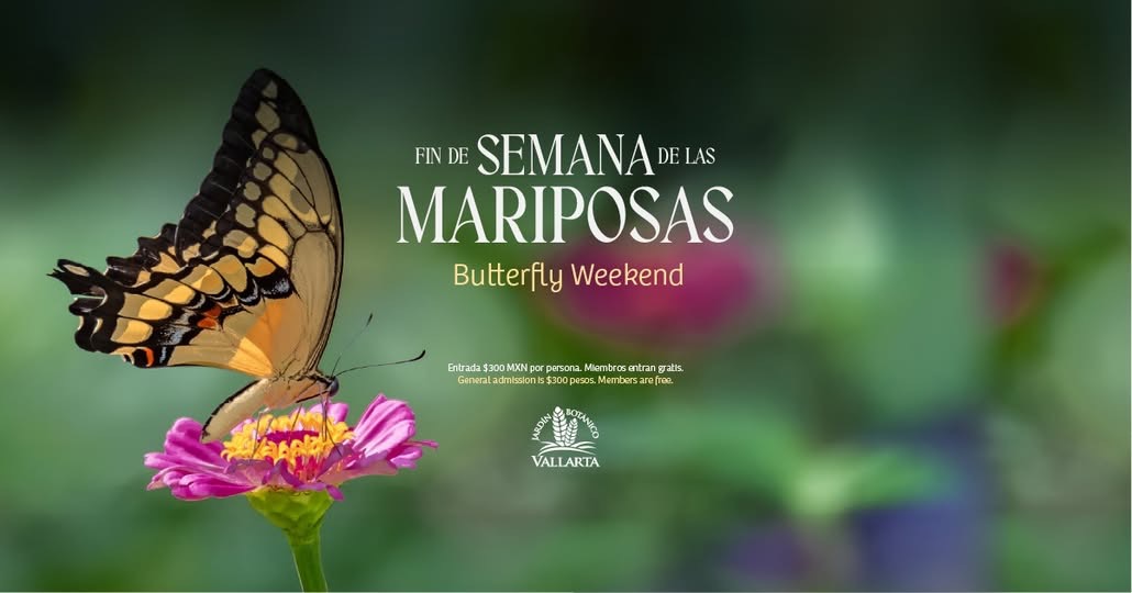 Butterfly Weekend