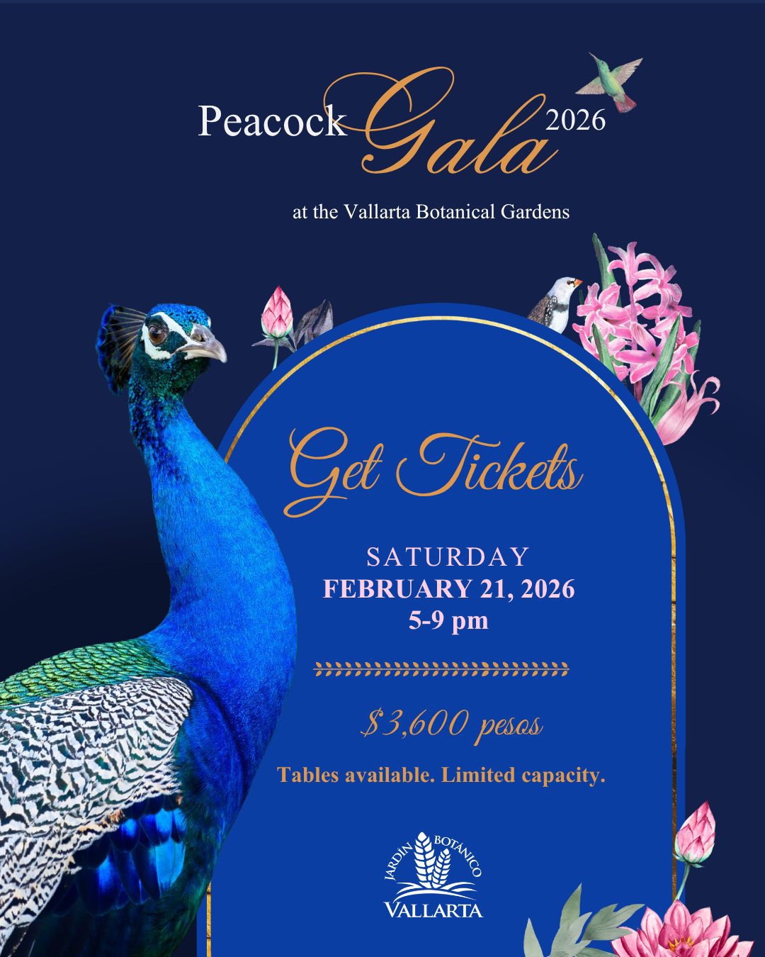 Peacock Gala