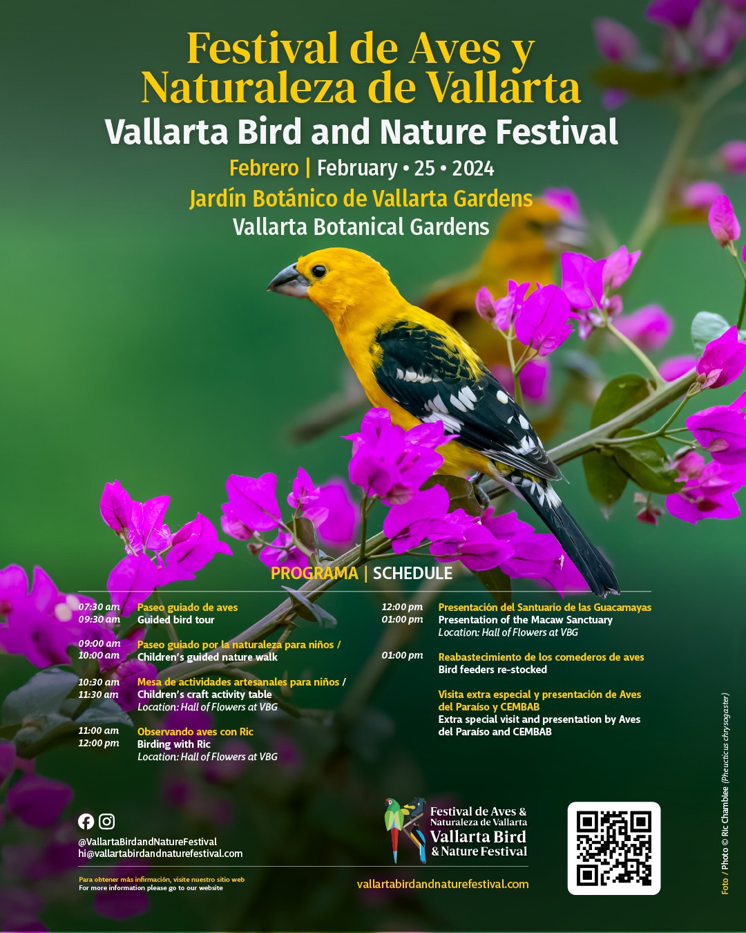 Vallarta Bird And Nature Festival
