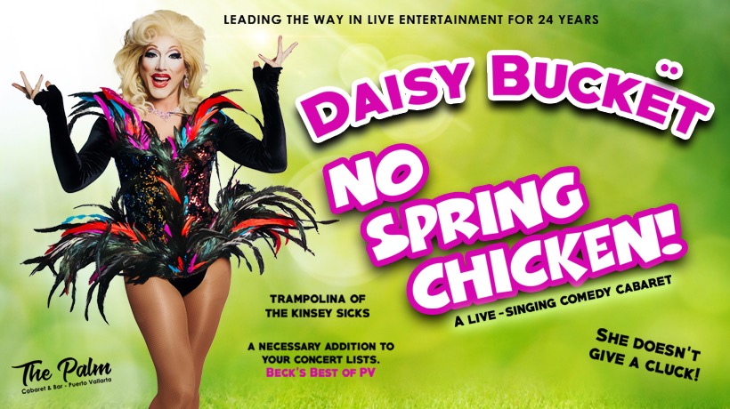 Daisy Bucket - No Spring Chicken!