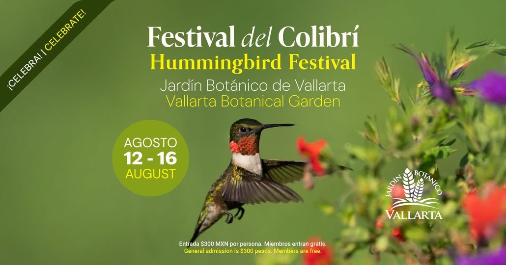 Humminggbird Festival