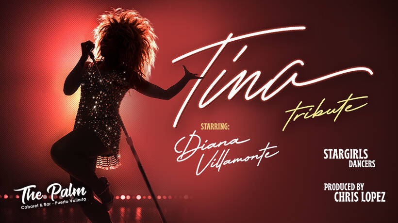 Tina – tribute by Diana Villamonte