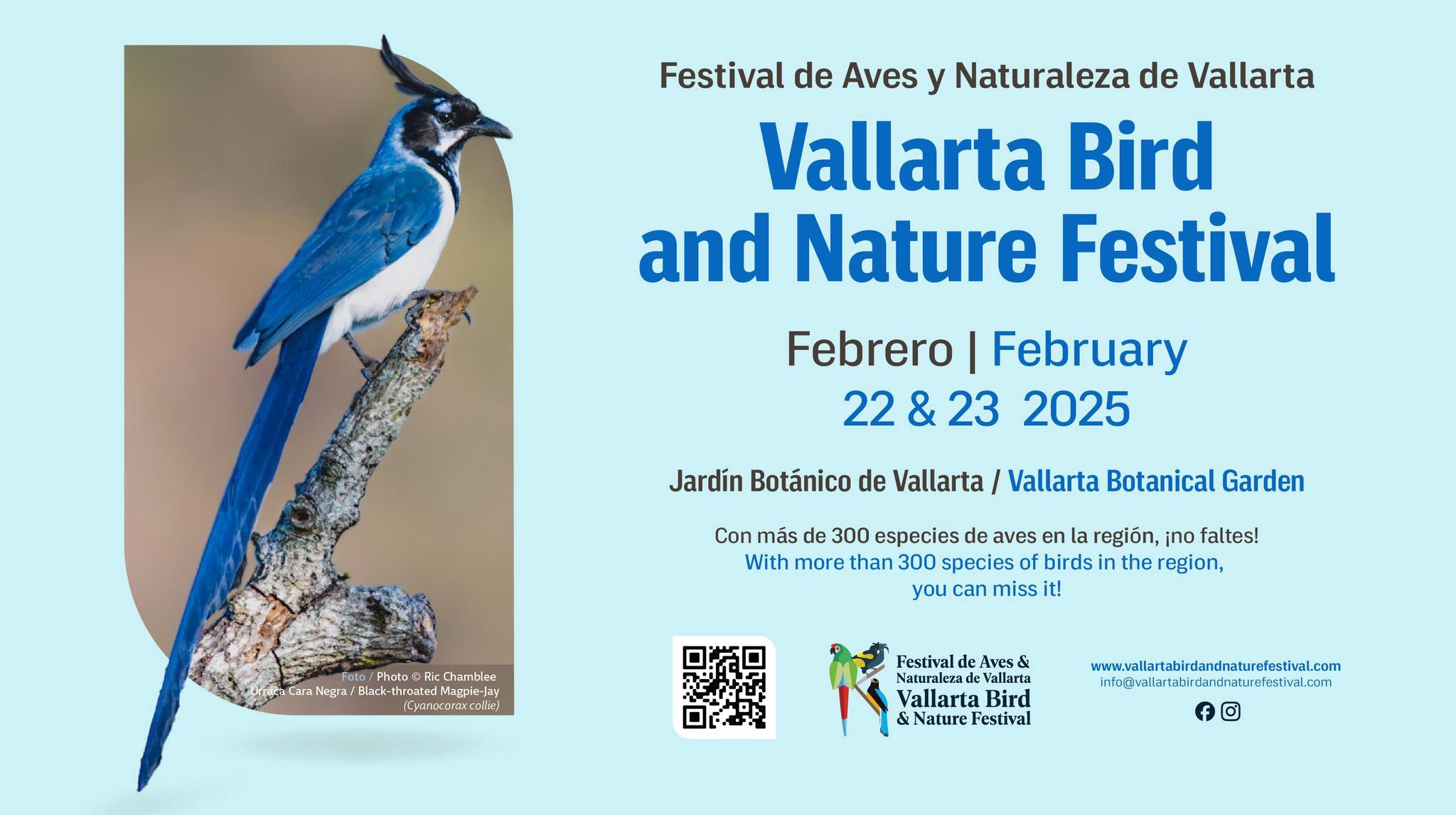 Festival de Aves y Naturaleza de Vallarta