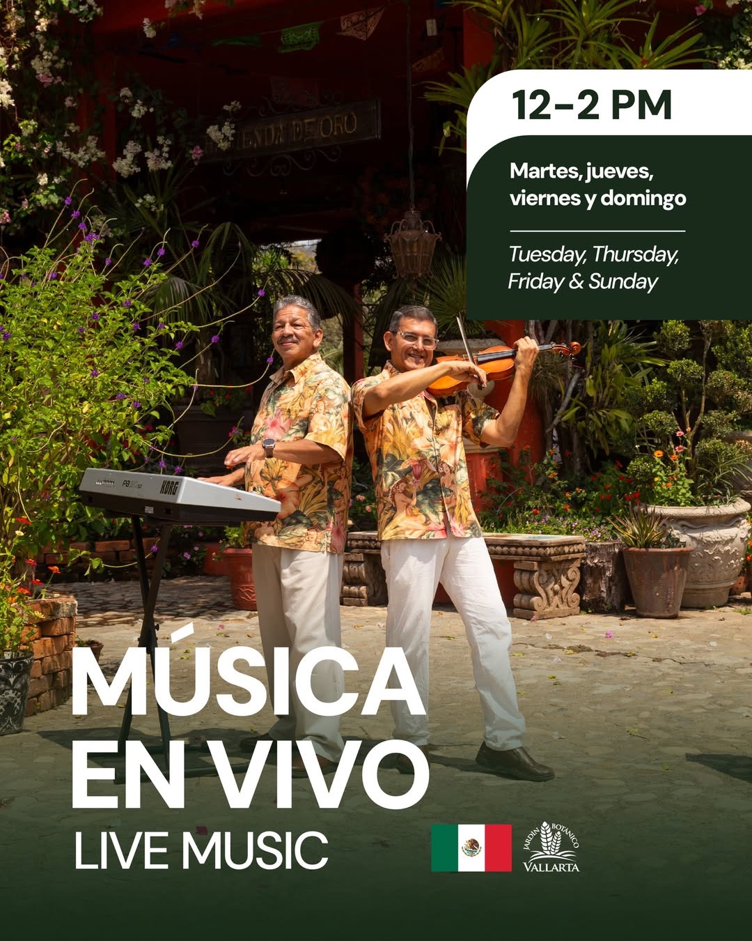 Música en Vivo
