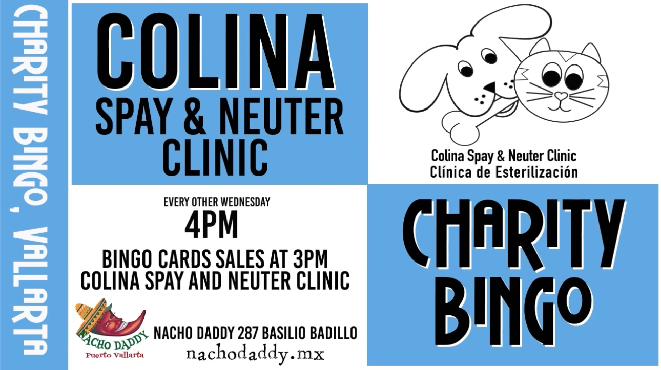 Charity Bingo