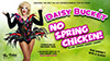 Daisy Bucket - No Spring Chicken!