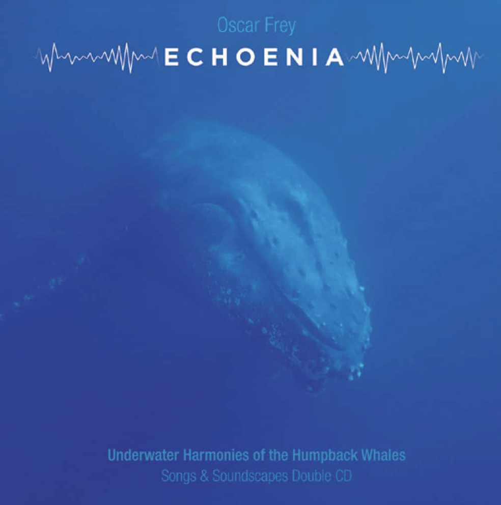 Echoenia Underwater Harmonies of the Humpback Whales Downloadable