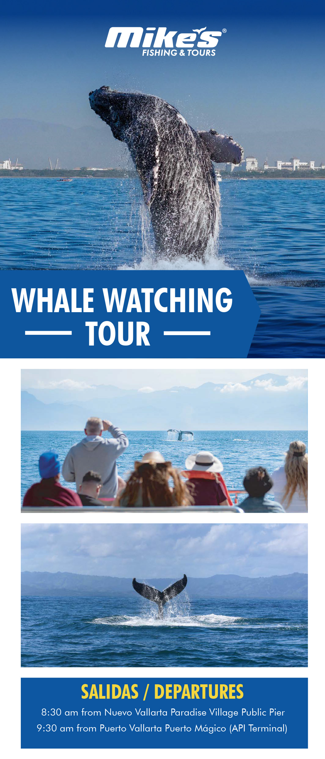Whale Watching Tour