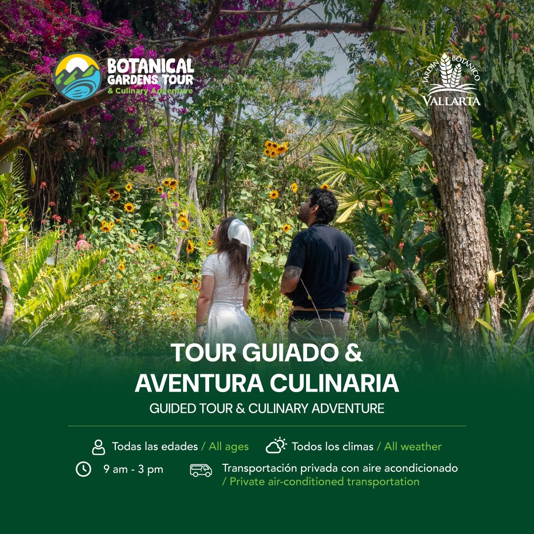 Guided Tour & Culinary Adventure