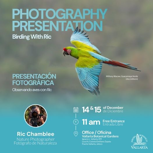 Photography Presentation