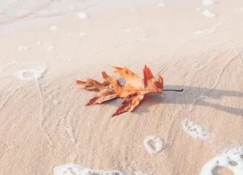 FALL IN LOVE WITH SAVINGS BY THE SEA