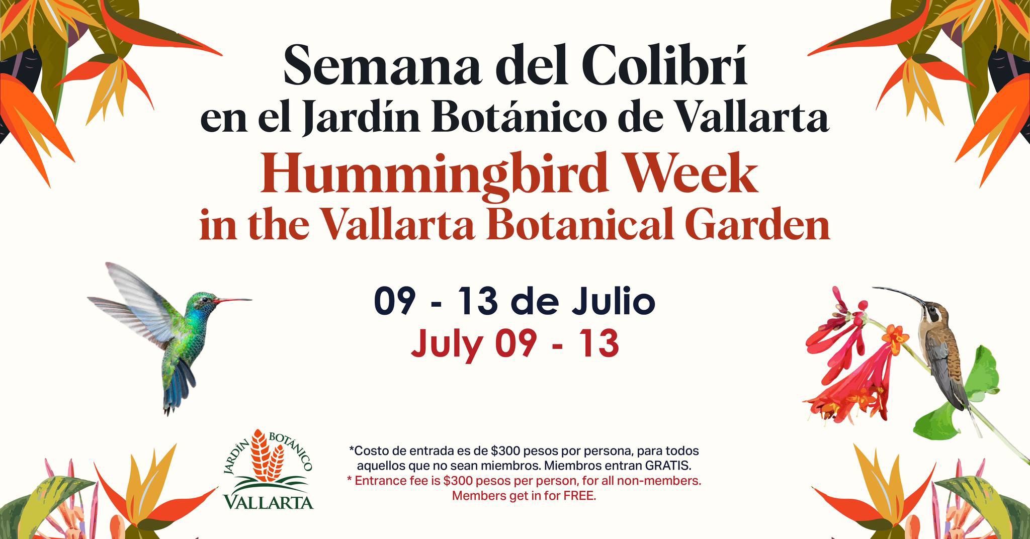 Semana del Colibrí