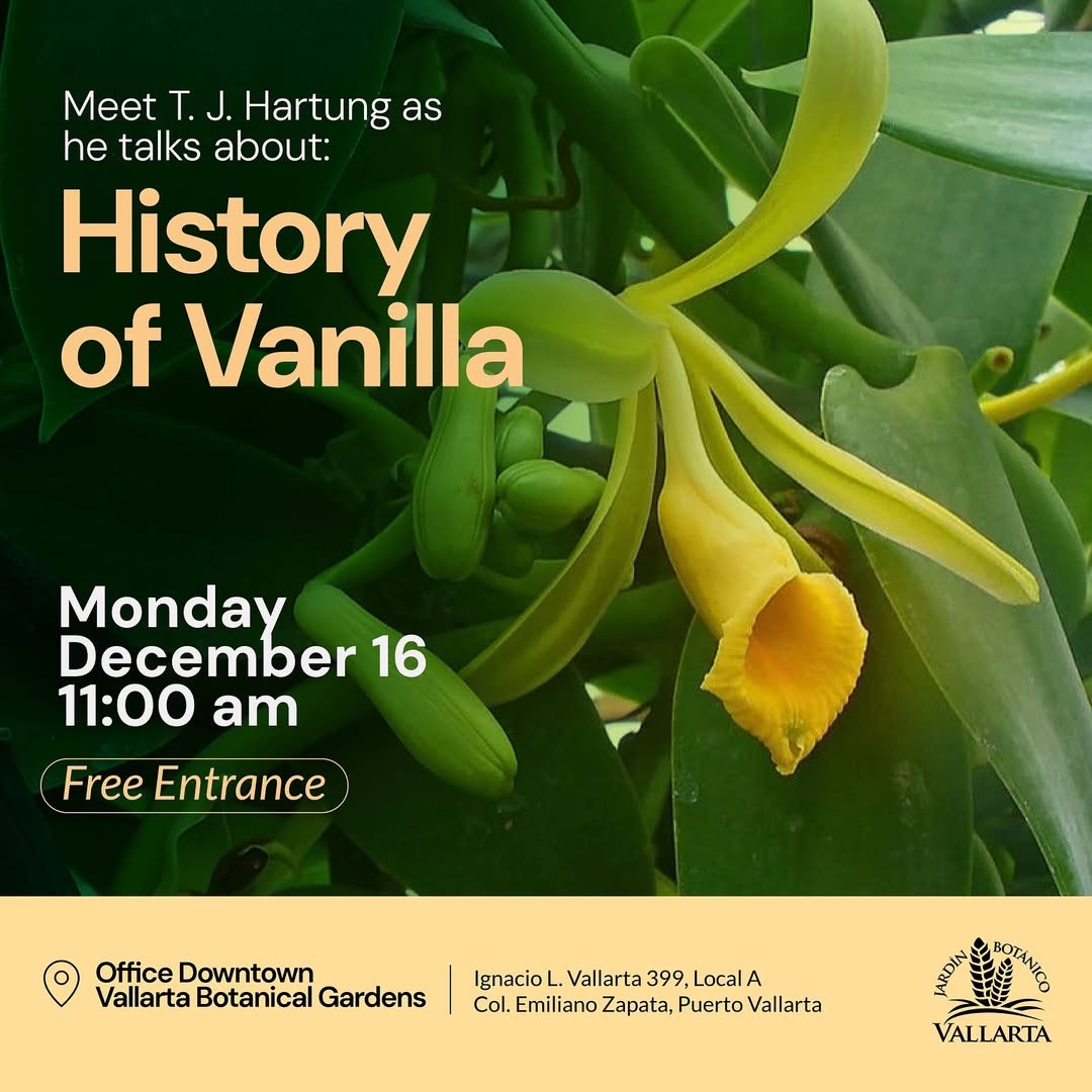 History of Vanilla