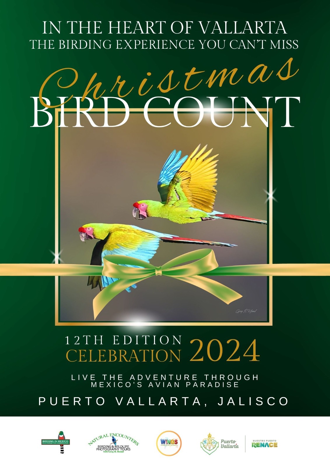 Bird Count Christmas