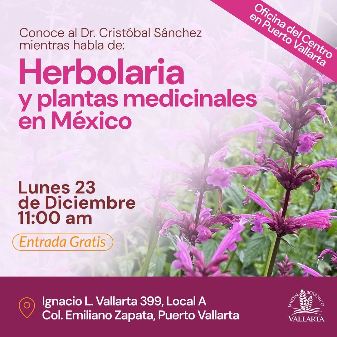 Herbalism and Medicinal Plants in Mexico