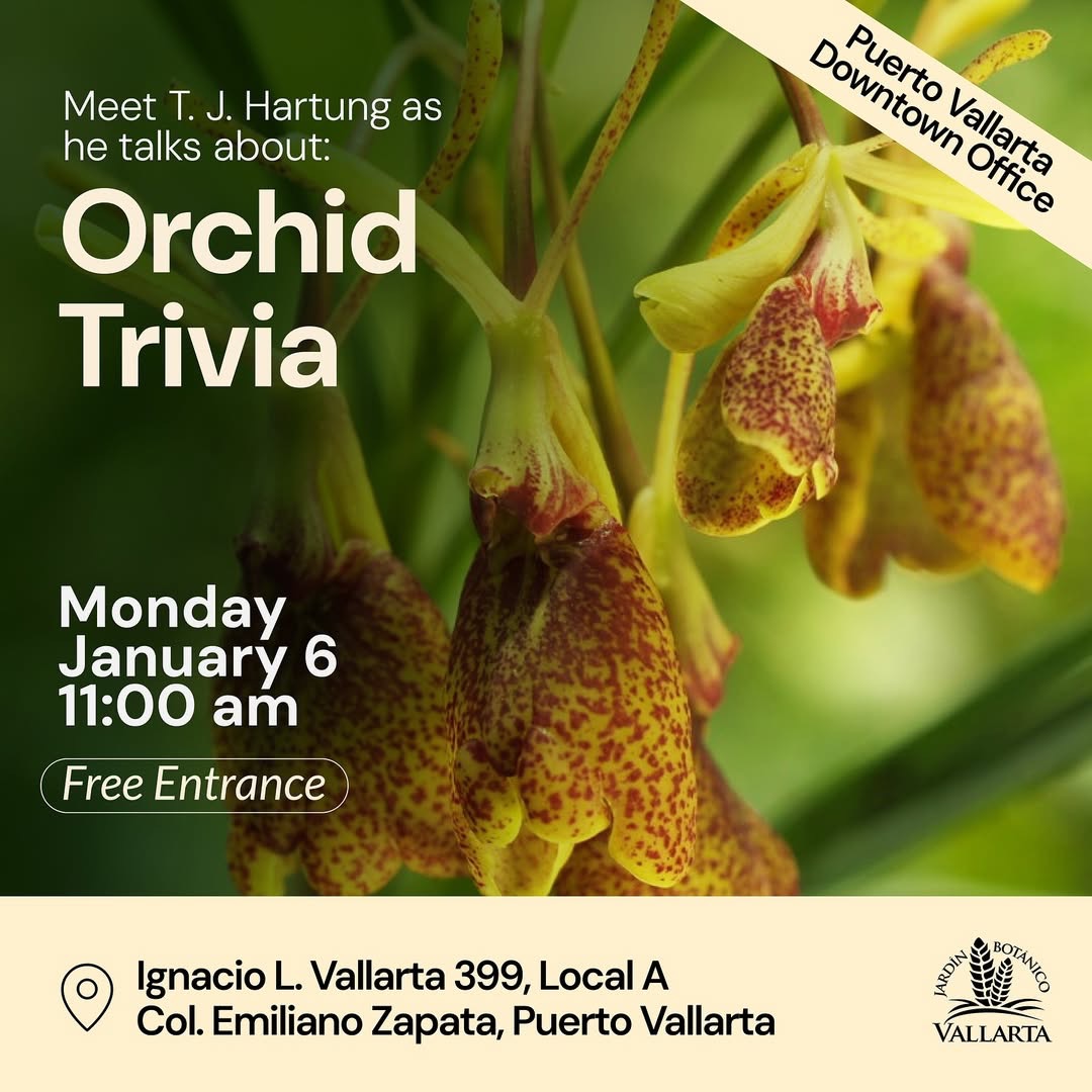 Orchid Trivia