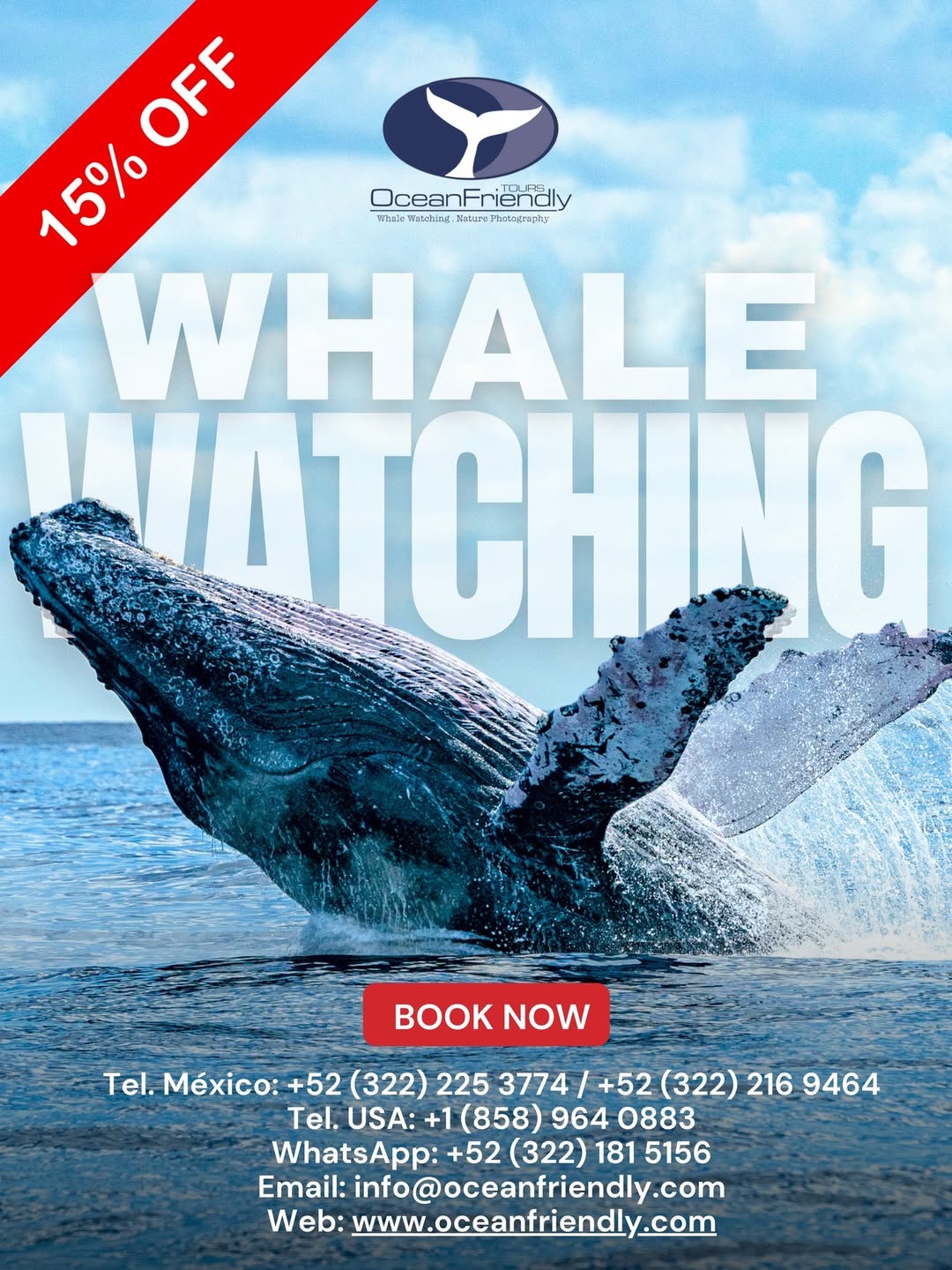 Whale Watching Tour 15% Off
