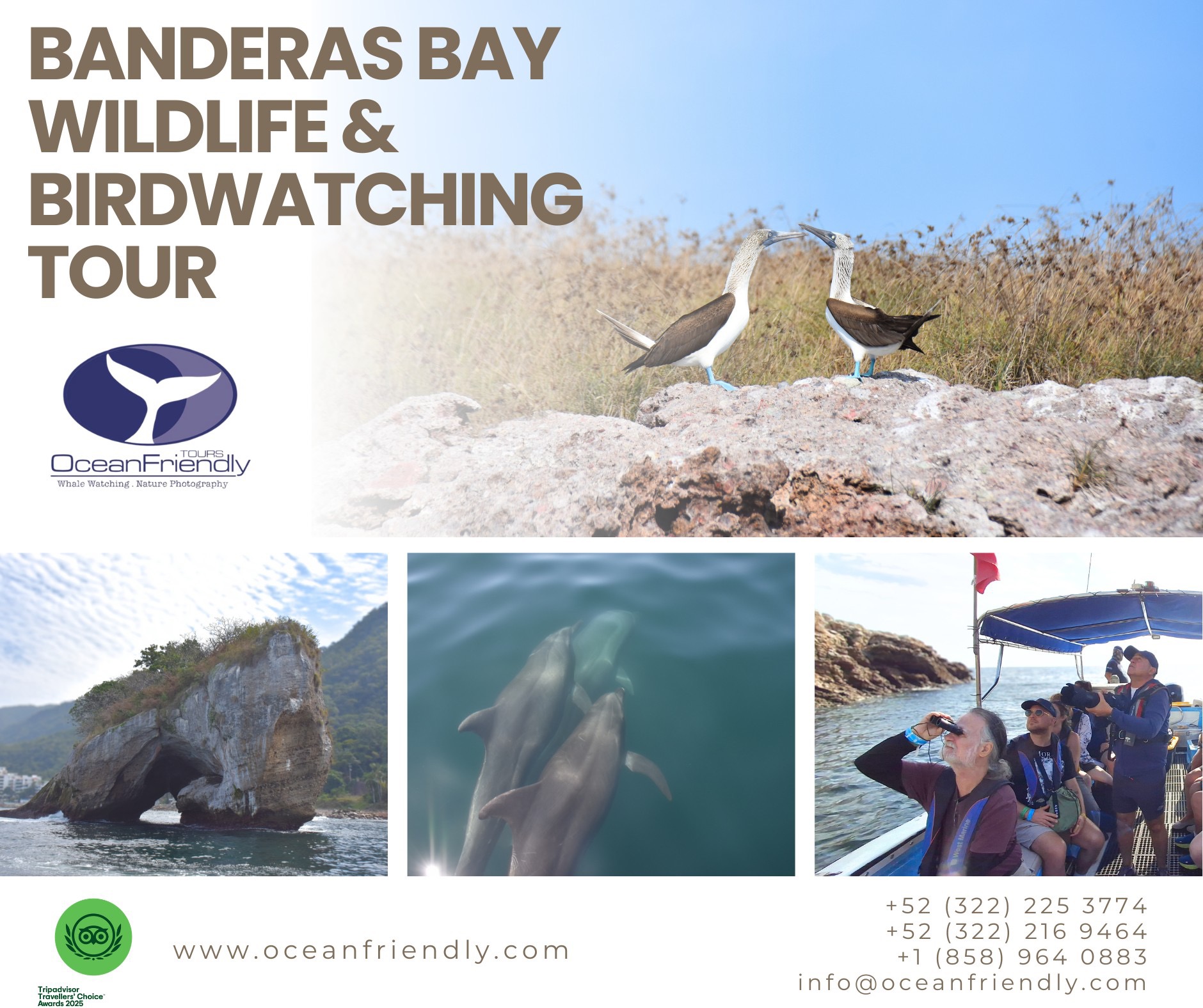 Banderas Bay Wildlife & Birdwatching Tour