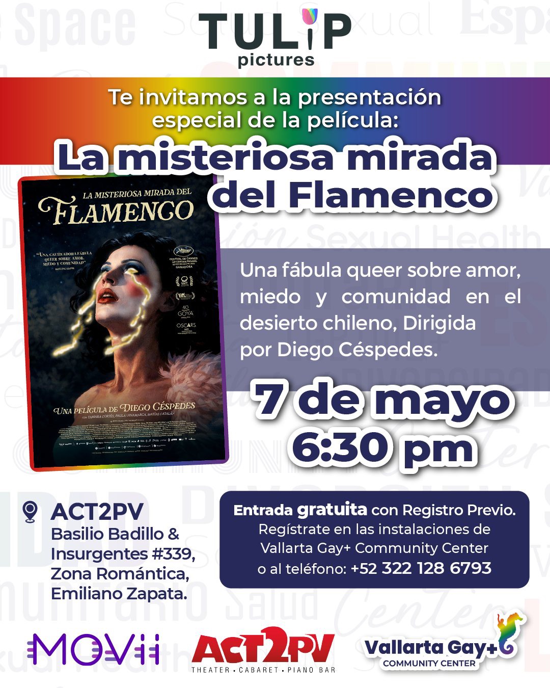 La Misteriosa Mirada del Flamenco