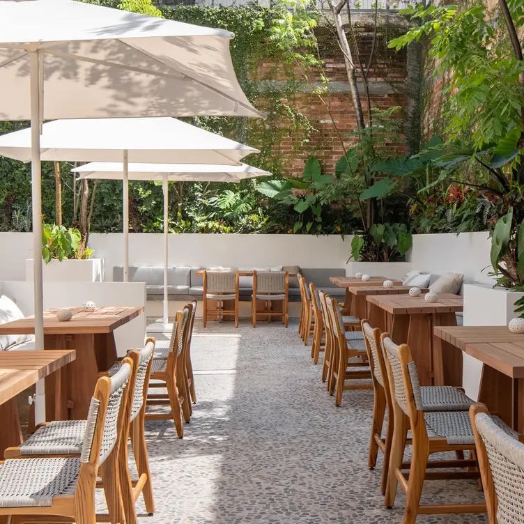 DINNER UNDER THE STARS AT TRYST