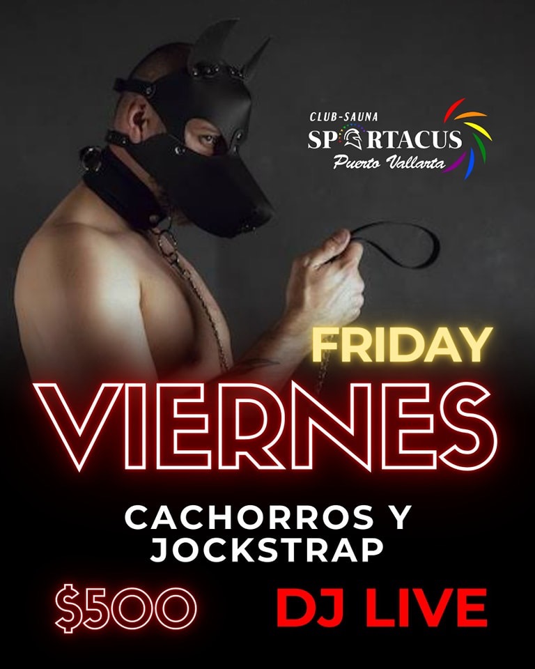 Cachorros y Jockstrap