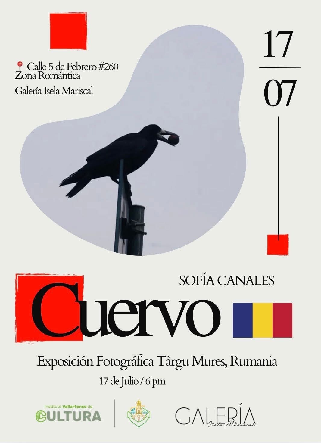 Raven