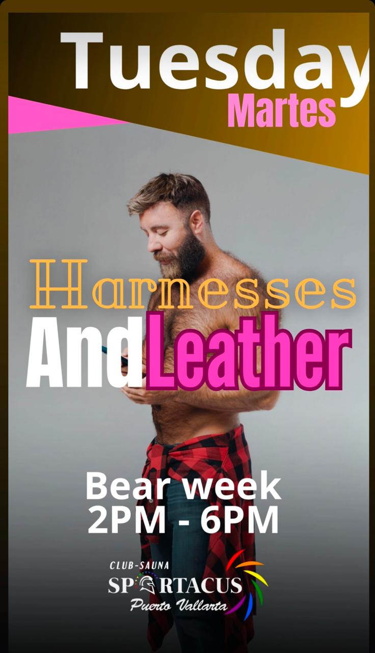 Harnesses And Leather