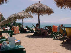 puerto vallarta gay tours